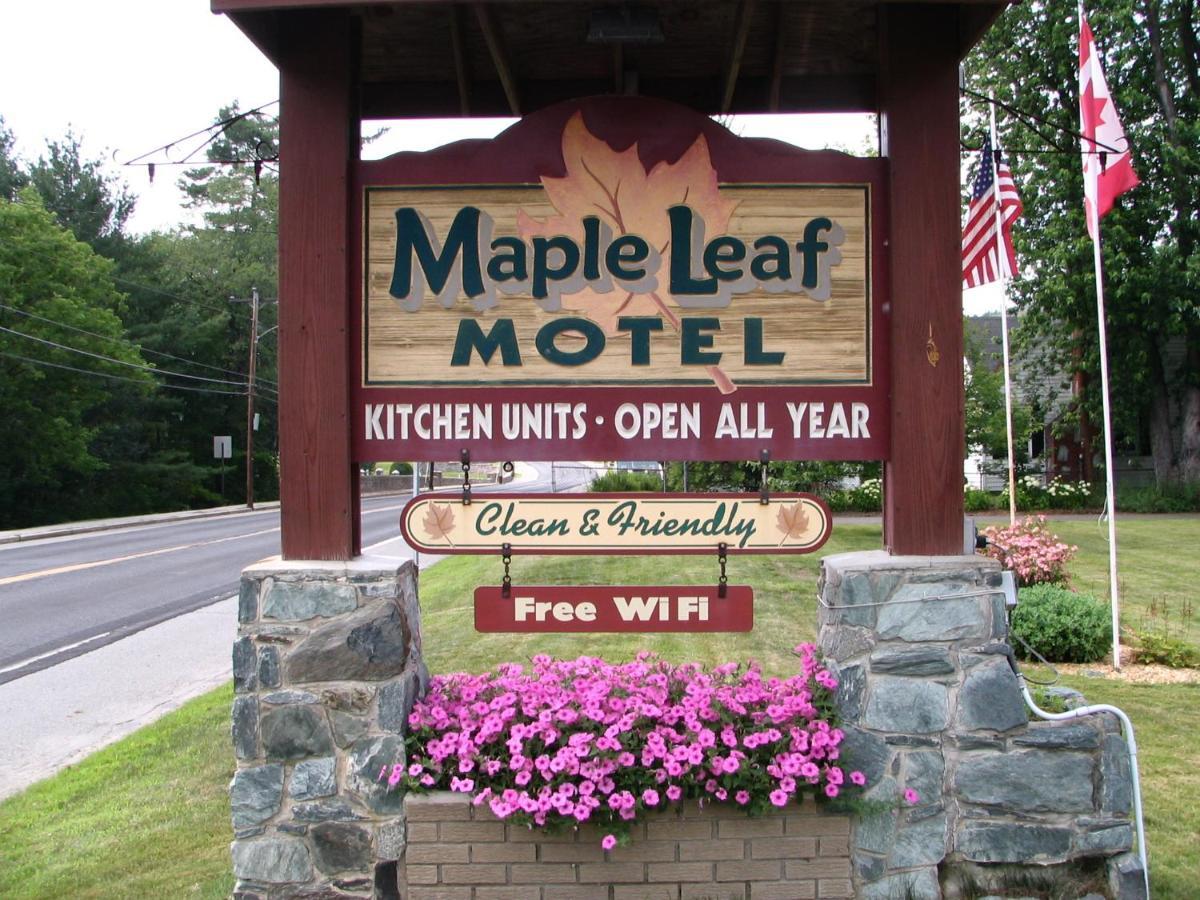 Maple Leaf Motel Littleton Eksteriør bilde